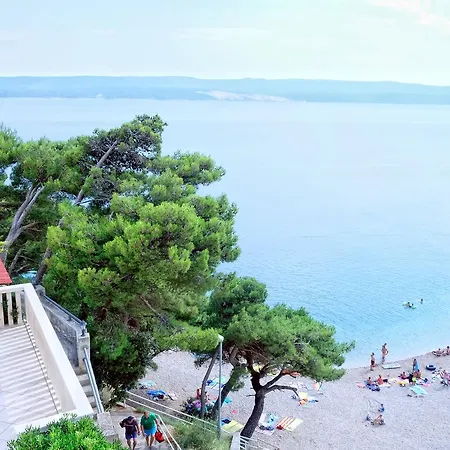 Luciana Villa Mimice